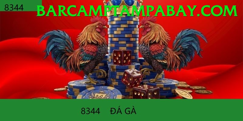 Đá Gà Trực Tiếp - Trải nghiệm tuyệt vời