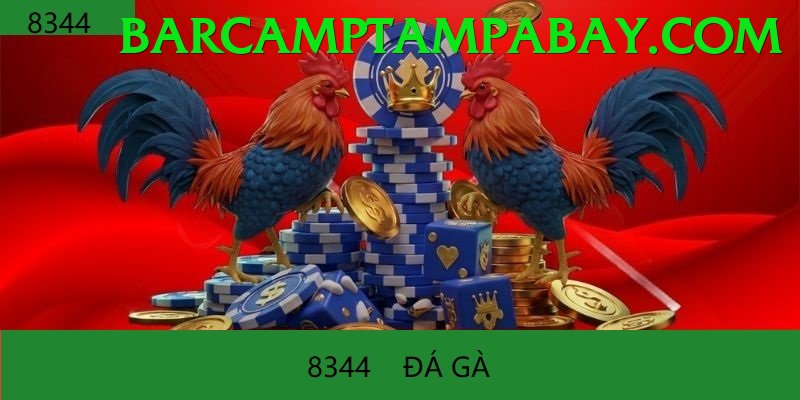 Đá Gà Trực Tiếp - Ưu đãi đặc biệt